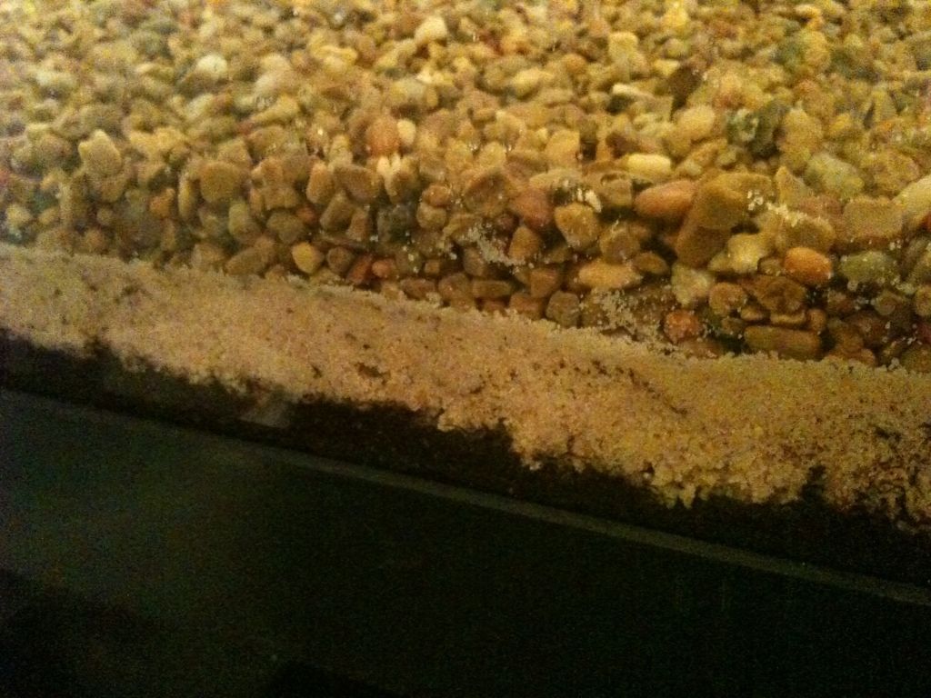 mixing substrate? Aquarium Forum